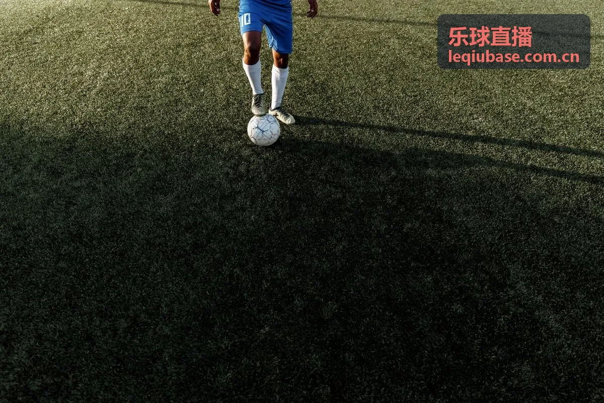 乐球直播英超球队布莱顿